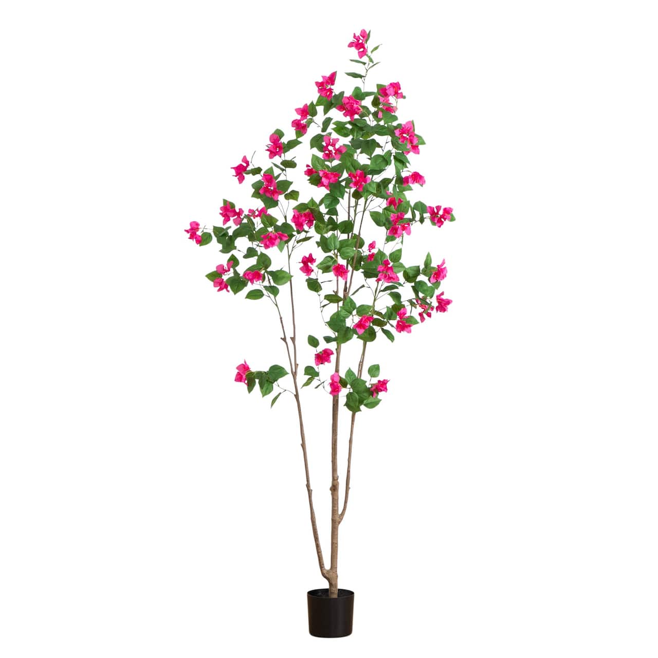 7ft. Potted Pink Minimalist Bougainvillea Tree
